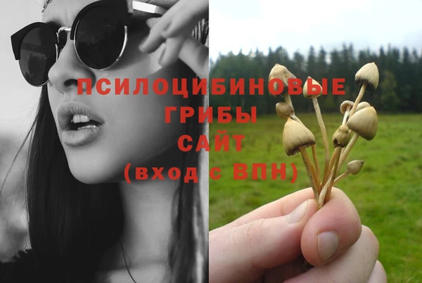 круглые Белокуриха