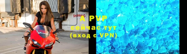 круглые Белокуриха