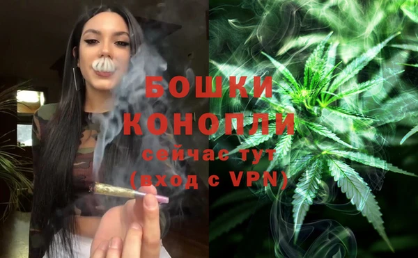 круглые Белокуриха