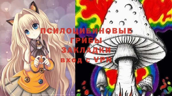 круглые Белокуриха
