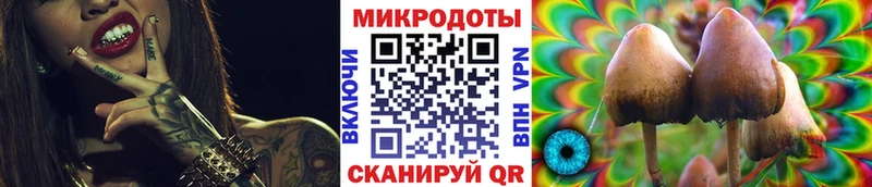 Галлюциногенные грибы Cubensis  продажа наркотиков  Кяхта 